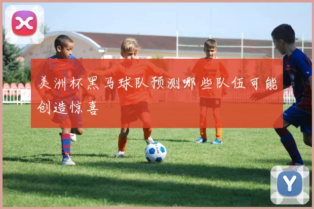 美洲杯黑马球队预测哪些队伍可能创造惊喜