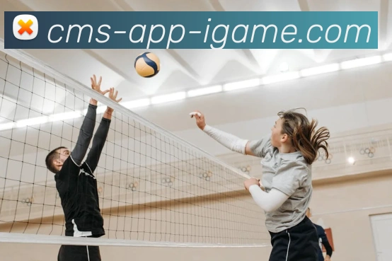 爱游戏APP发展历程